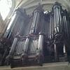 Avatar de DOMINIQUE M