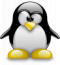 linux 77